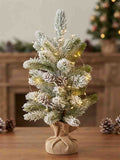 Árbol pequeño de Navidad 50 cm (Ref: 49XS16)
